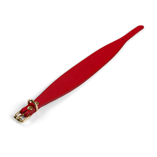 Poco a Poco Kırmızı Deri Köpek Tasması