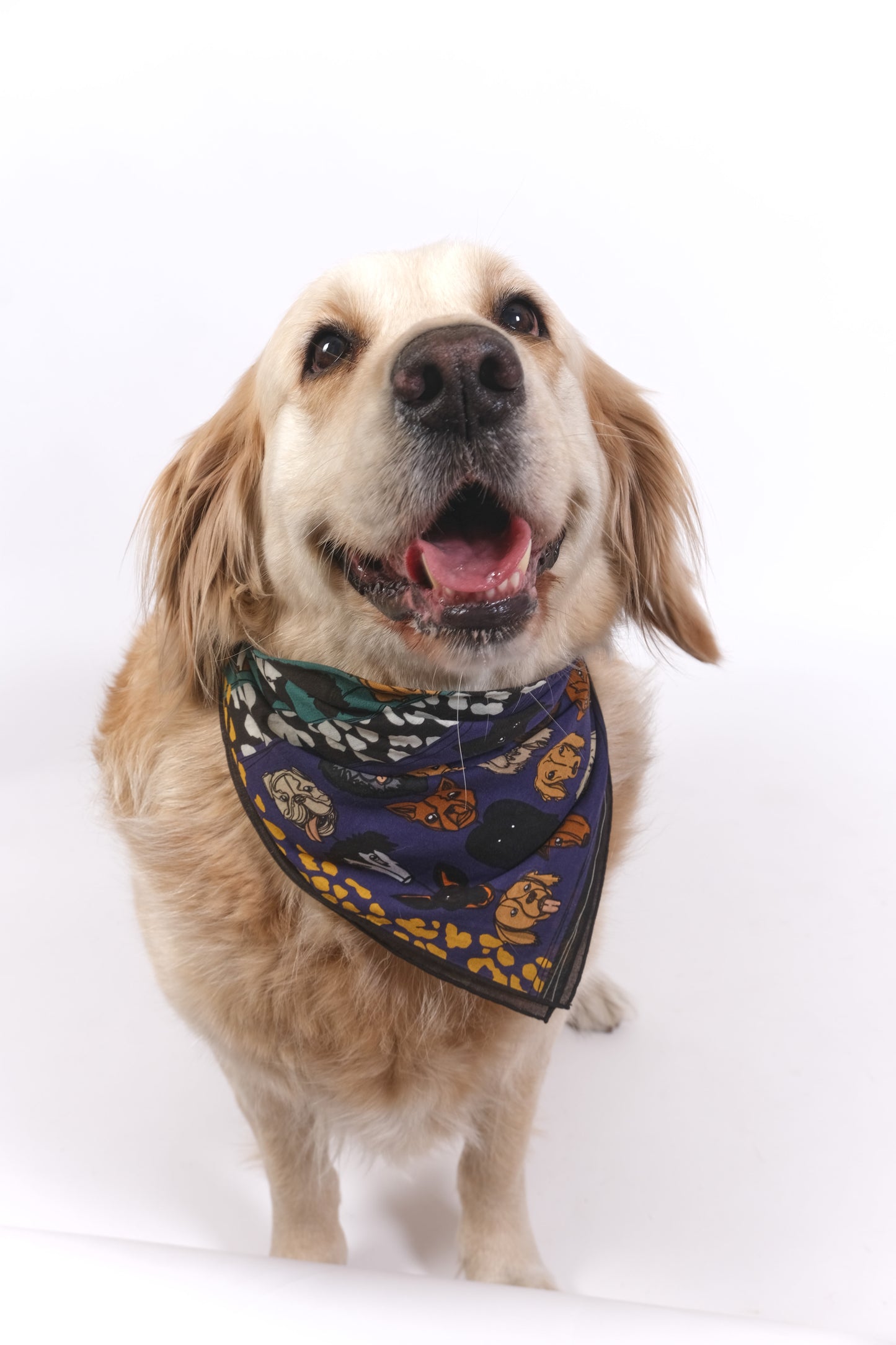 Green and Purple Dog Pattern Cotton Scarf