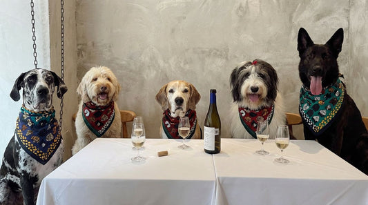 Forever With My Dog - Kahverengi Pamuk Fular