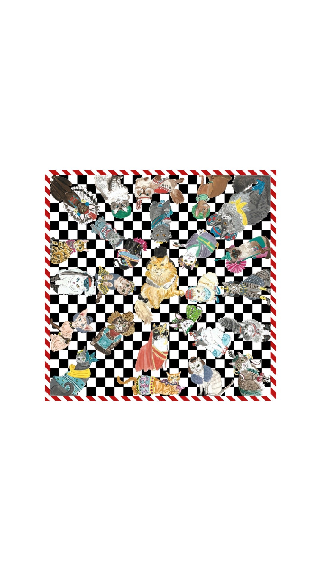 Kediler Aşkına Damalı Pamuk Fular